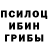 Галлюциногенные грибы Psilocybe Ibel branly