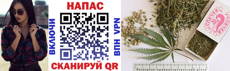 как найти наркотики  Уржум  Канабис индика 